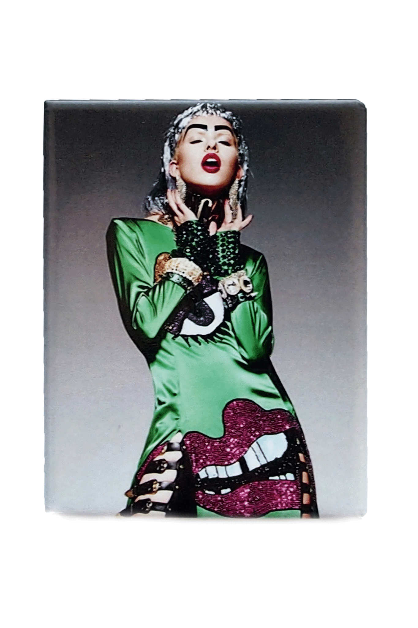 'ENVY' Fridge Magnet 'ENVY' Fridge Magnet